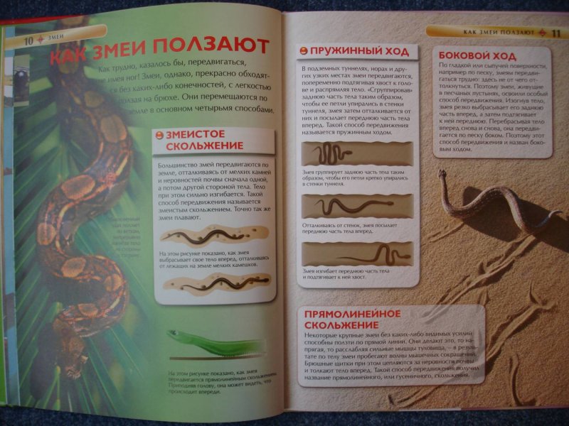 Детская энциклопедия "Змеи" 