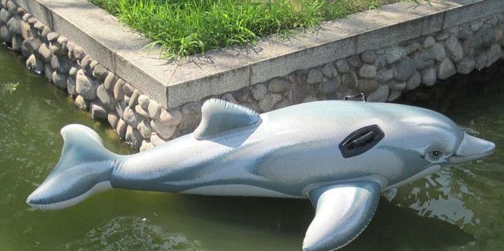 Надувной плотик – Дельфин, 175 х 66 см  