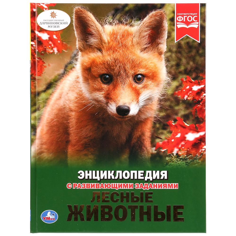 

Энциклопедия А4 - Лесные животные