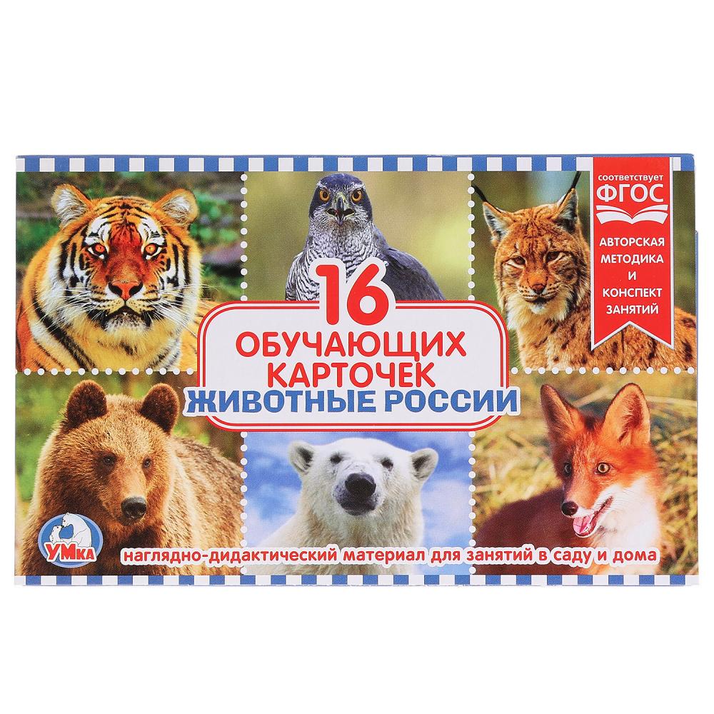 

Карточки в папке - Животные России, 16 карточек