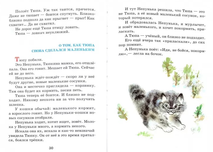 Книга из серии Школьная Библиотека – Рассказы про зверей и птиц, Е. Чарушин  
