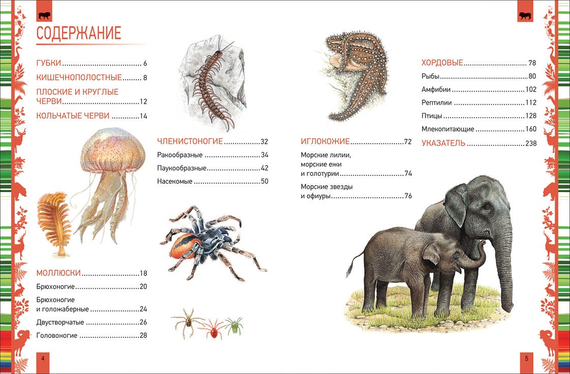 Большая энциклопедия - Животные  