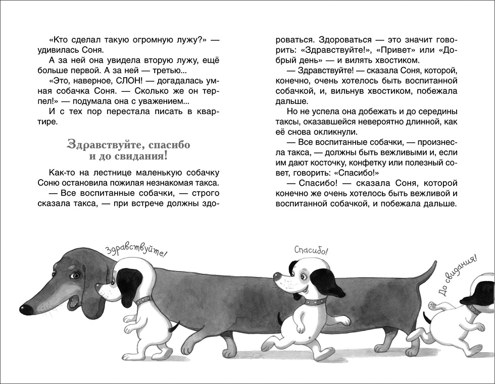 Рассказы про собачку соню читать с картинками