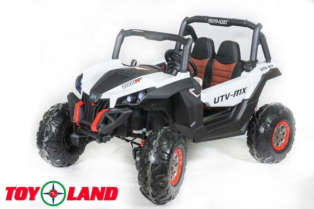 

Багги ToyLand ХМХ603, полный привод 4х4, цвет – белый