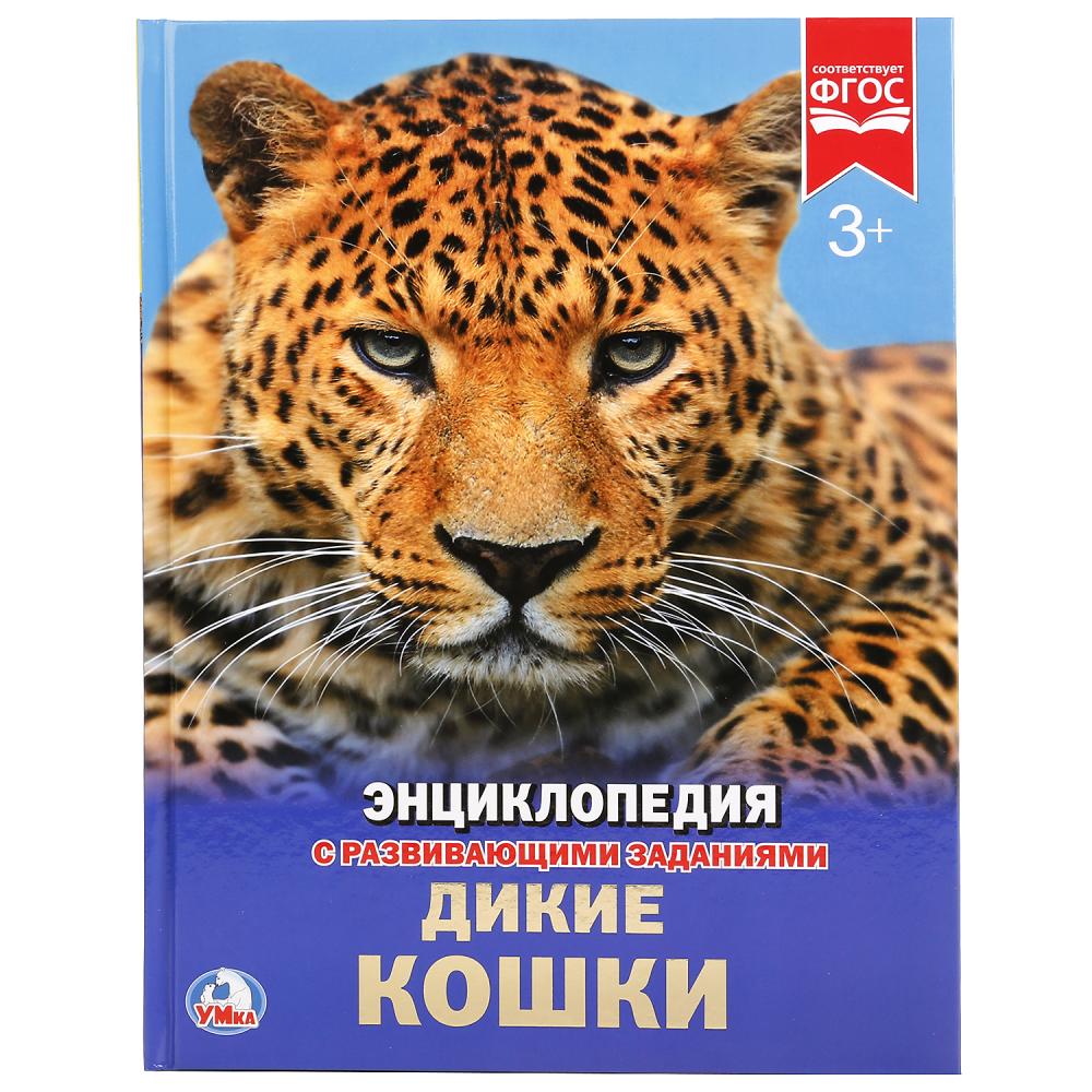 Купить Книгу Энциклопедия