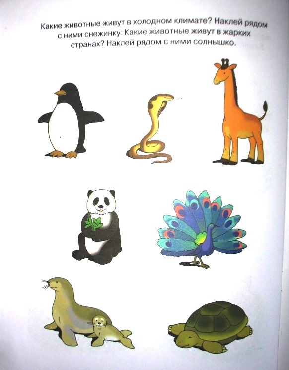 Книга с наклейками Земцова О.Н. - Знакомимся с природой - из серии Дошкольная мозаика для детей от 4 до 5  