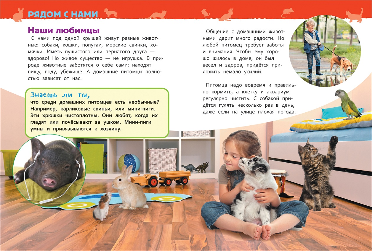 Энциклопедия для детского сада - Домашние питомцы  