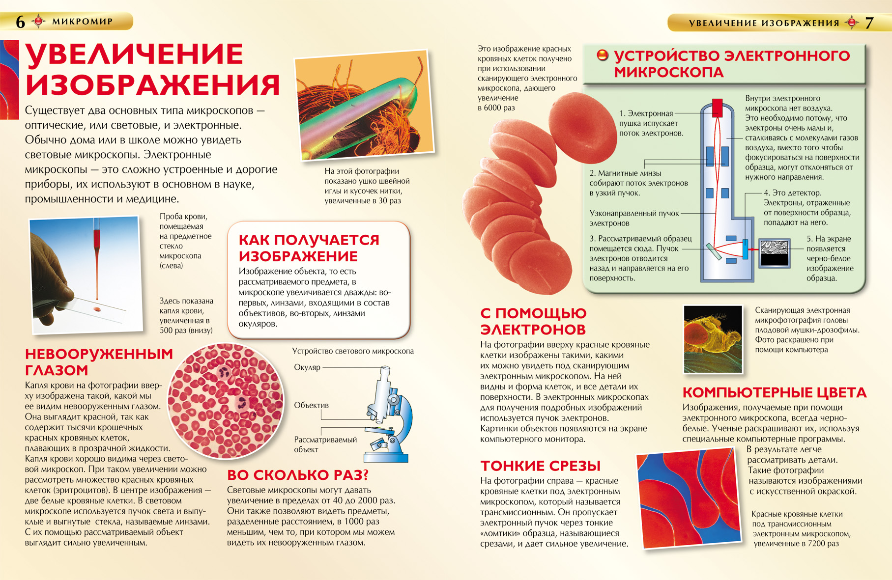 Детская энциклопедия "Микромир"  