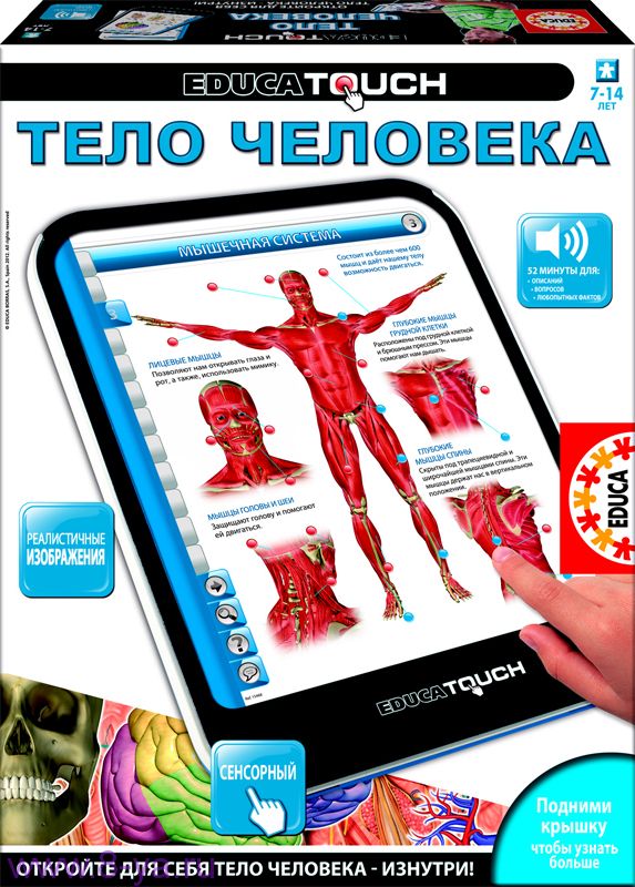 Электронный планшет «Изучаем тело человека» EDUCA TOUCH  