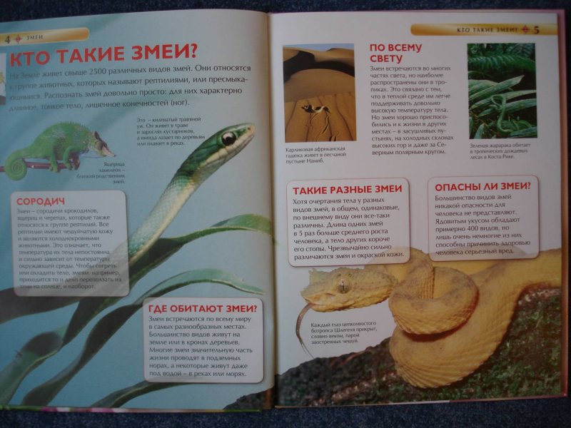 Детская энциклопедия "Змеи" 