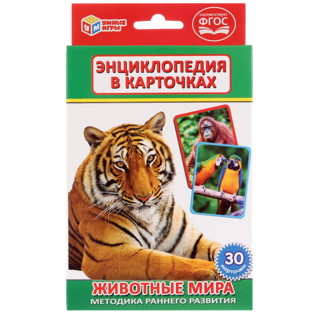 

Развивающие карточки - Животные мира, 30 карточек