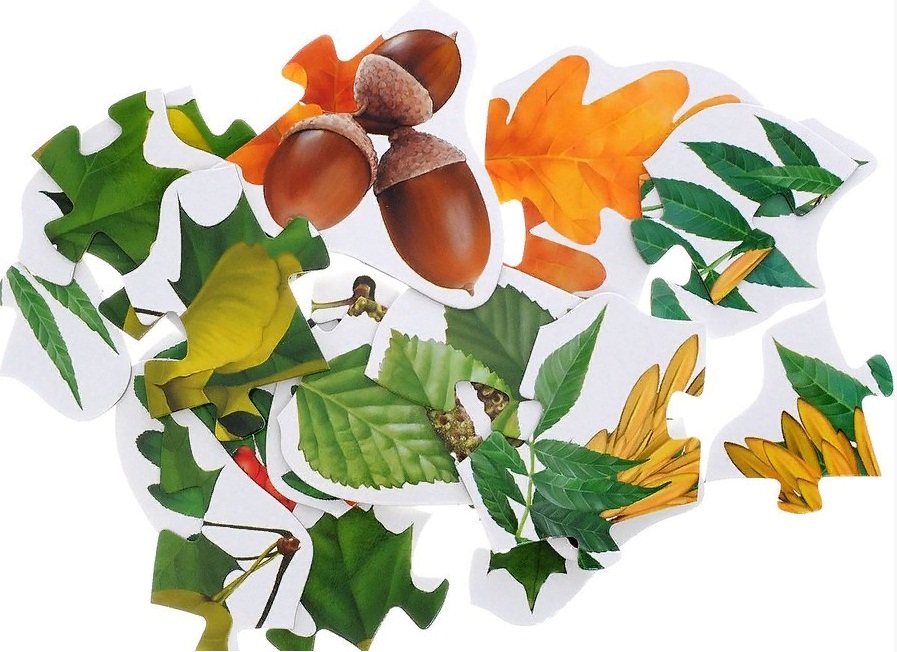 Пазлы листочки. Пазл дерево. Пазлы из дерева. Пазлы листья деревьев. Пазлы листочки.