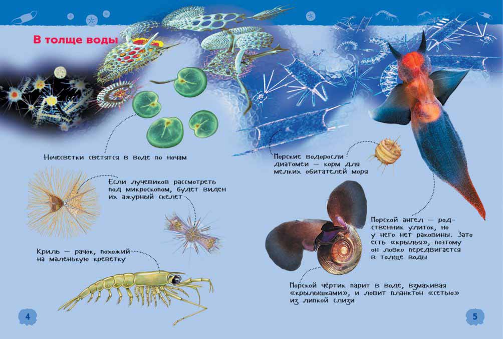 Энциклопедия для детского сада - Подводный мир  