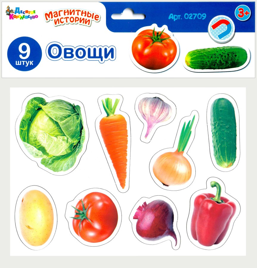 

Игра магнитная развивающая - Магнитные истории Овощи