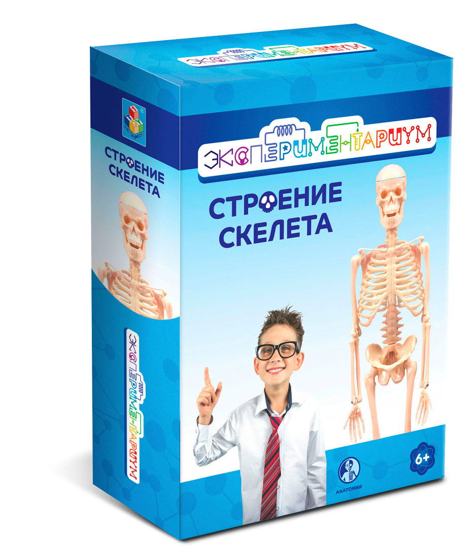 

Набор Строение скелета из серии Экспериментариум