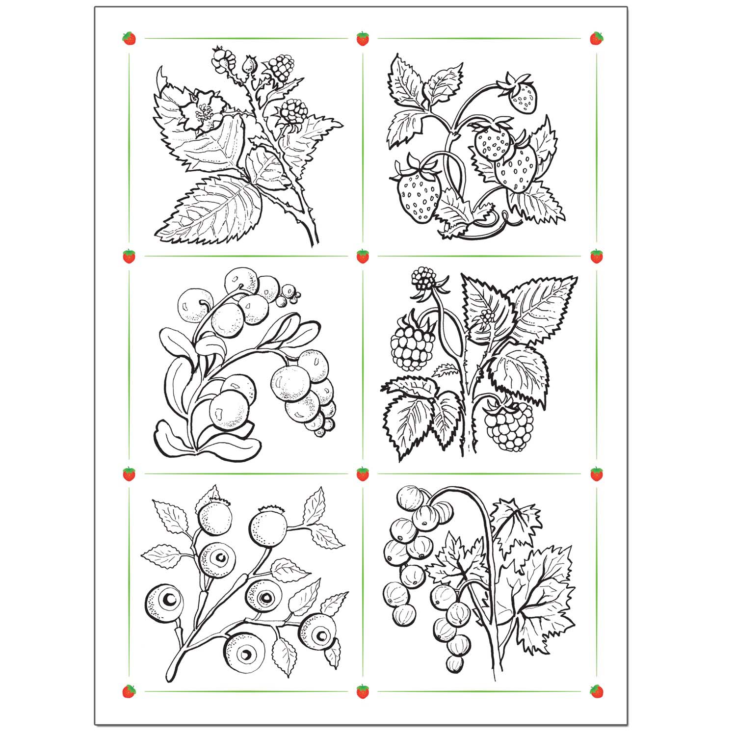 4 рисунка на 1 листе