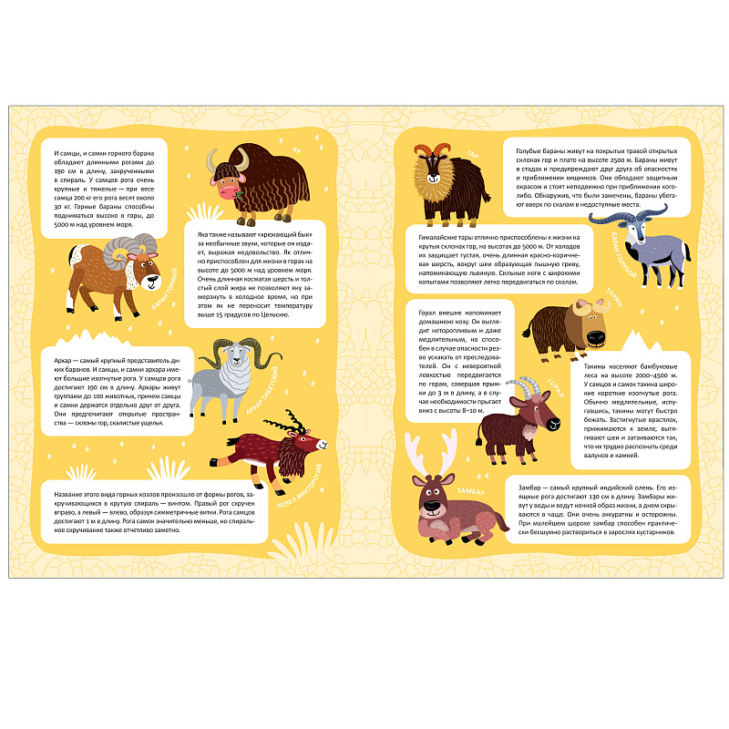 Книга с многоразовыми наклейками из серии - В мире животных - Высокие горы  