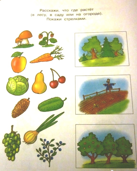 Книга «Что нас окружает» из серии Умные книги для детей от 5 до 6 лет в новой обложке  