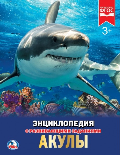 

Энциклопедия – Акулы. С развивающими заданиями