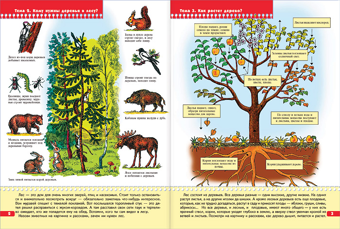 Книга из серии Школа Семи Гномов Седьмой год обучения - Экология для малышей  