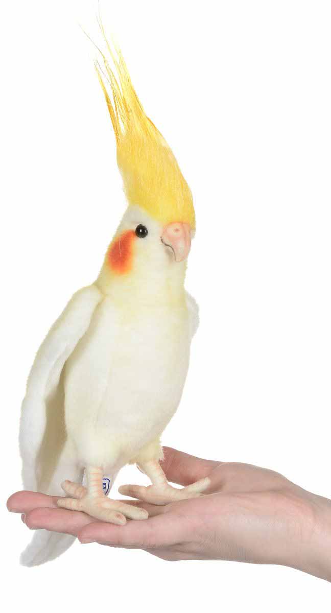 Мягкая игрушка – Австралийский попугай, 23 см  