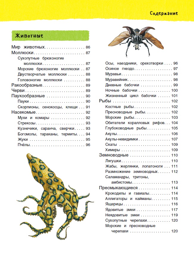 Большая иллюстрированная энциклопедия  