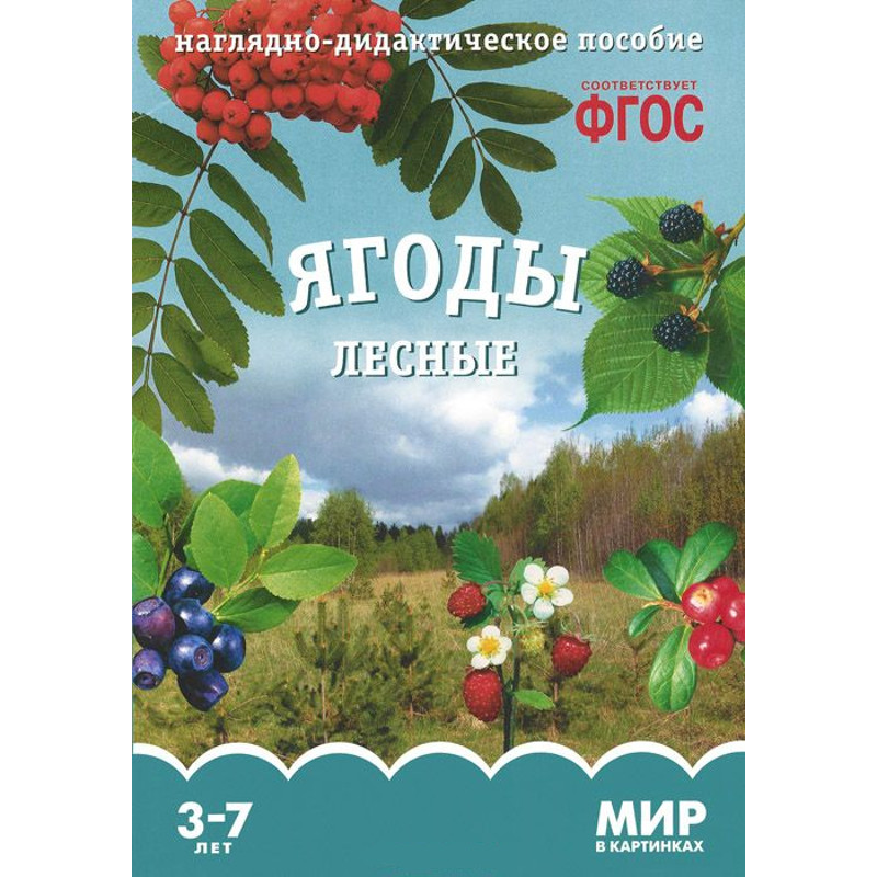 

Карточки в папке из серии Мир в картинках – Ягоды лесные, соответствуют ФГОС