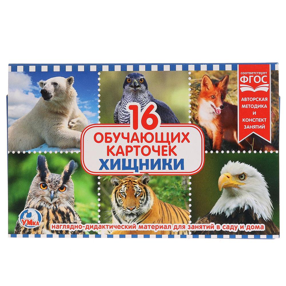 

Карточки в папке – Хищники, 16 карточек