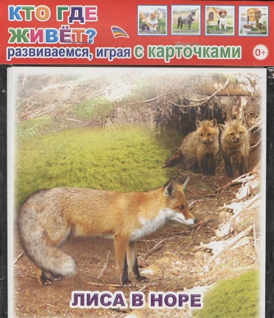 

Обучающие карточки - Кто где живет, 0+