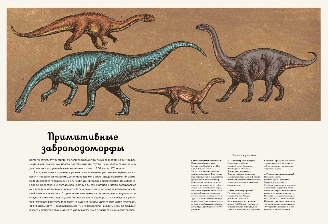 Энциклопедия – Динозавриум  