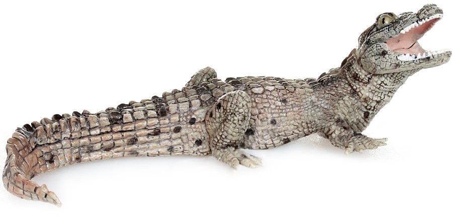 Фигурка — Крокодильчик  