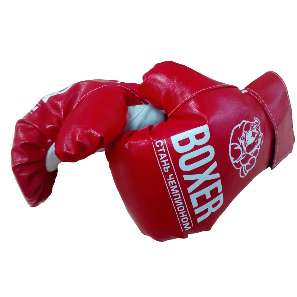 Боксерский набор №7: лапа и перчатки   
