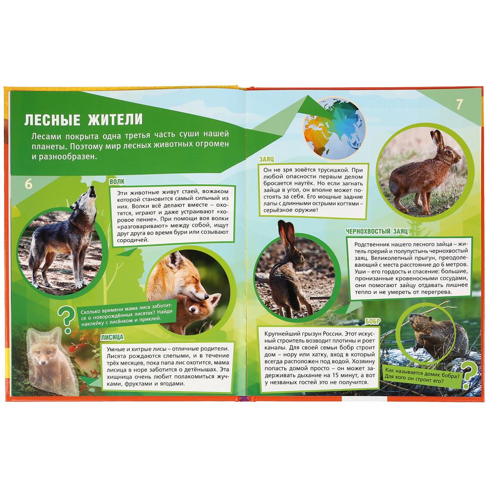 Энциклопедия А4 с наклейками и развивающими заданиями – Животные  