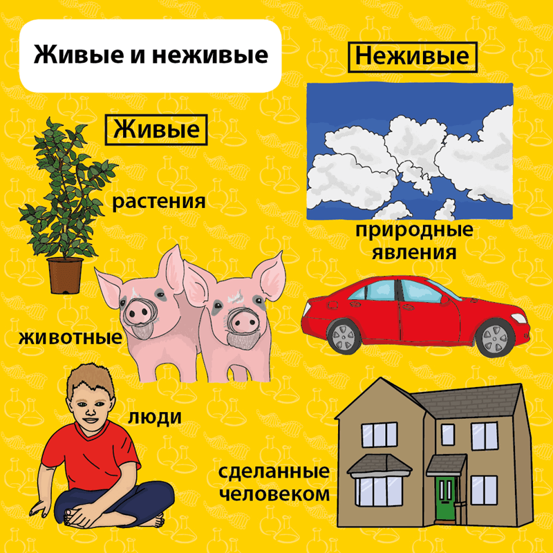 Настольная игра Сундучок знаний - Мои первые знания  