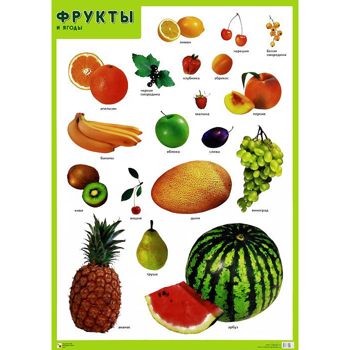 

Плакат - Фрукты и ягоды