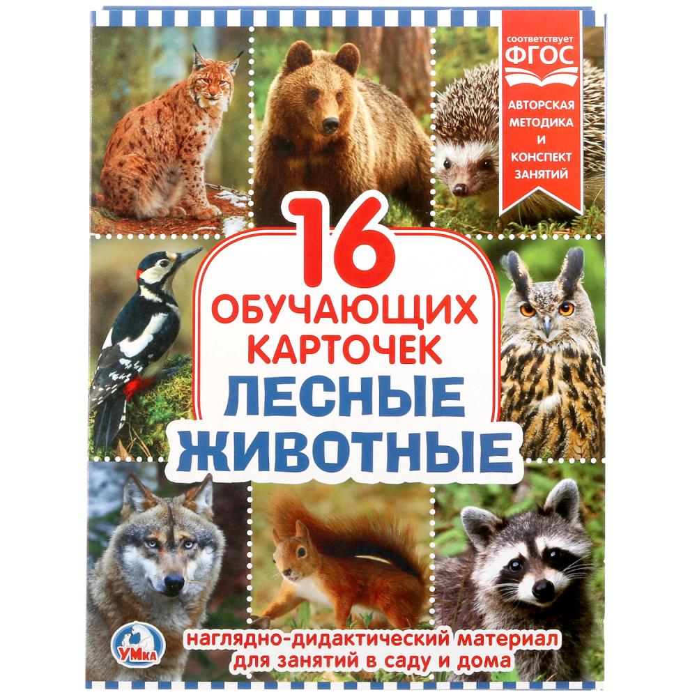 

Карточки в папке - Лесные Животные, 16 обучающих карточек