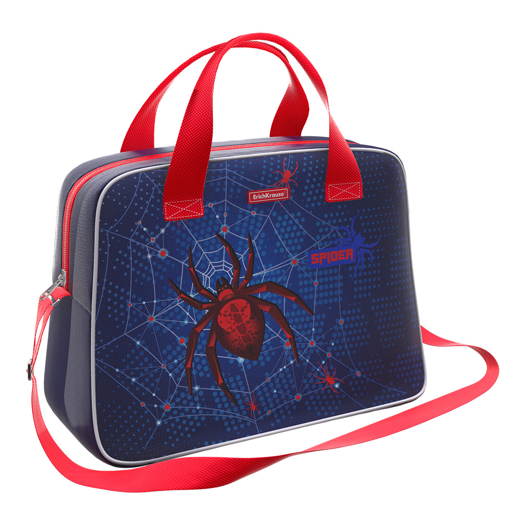 

Сумка для спорта и путешествий Erich Krause 21 L Spider