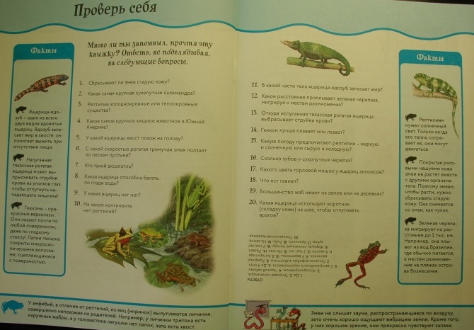 Книга с забавными наклейками «Рептилии и амфибии» из серии Animal Planet  