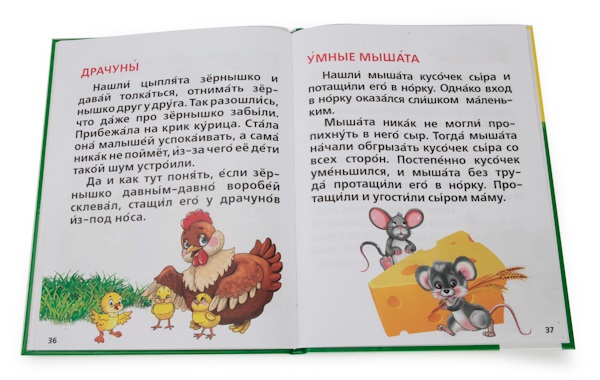 Книга из серии Библиотека детского сада - Азбука. Букварь. Счет  