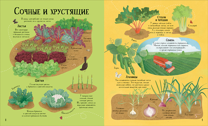 Книга – Как растет еда  