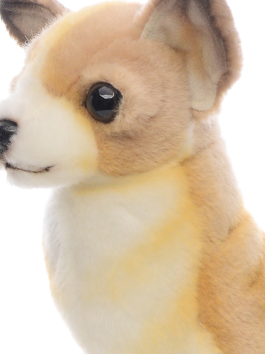 Мягкая игрушка - Собака породы Чихуахуа, 31 см.  