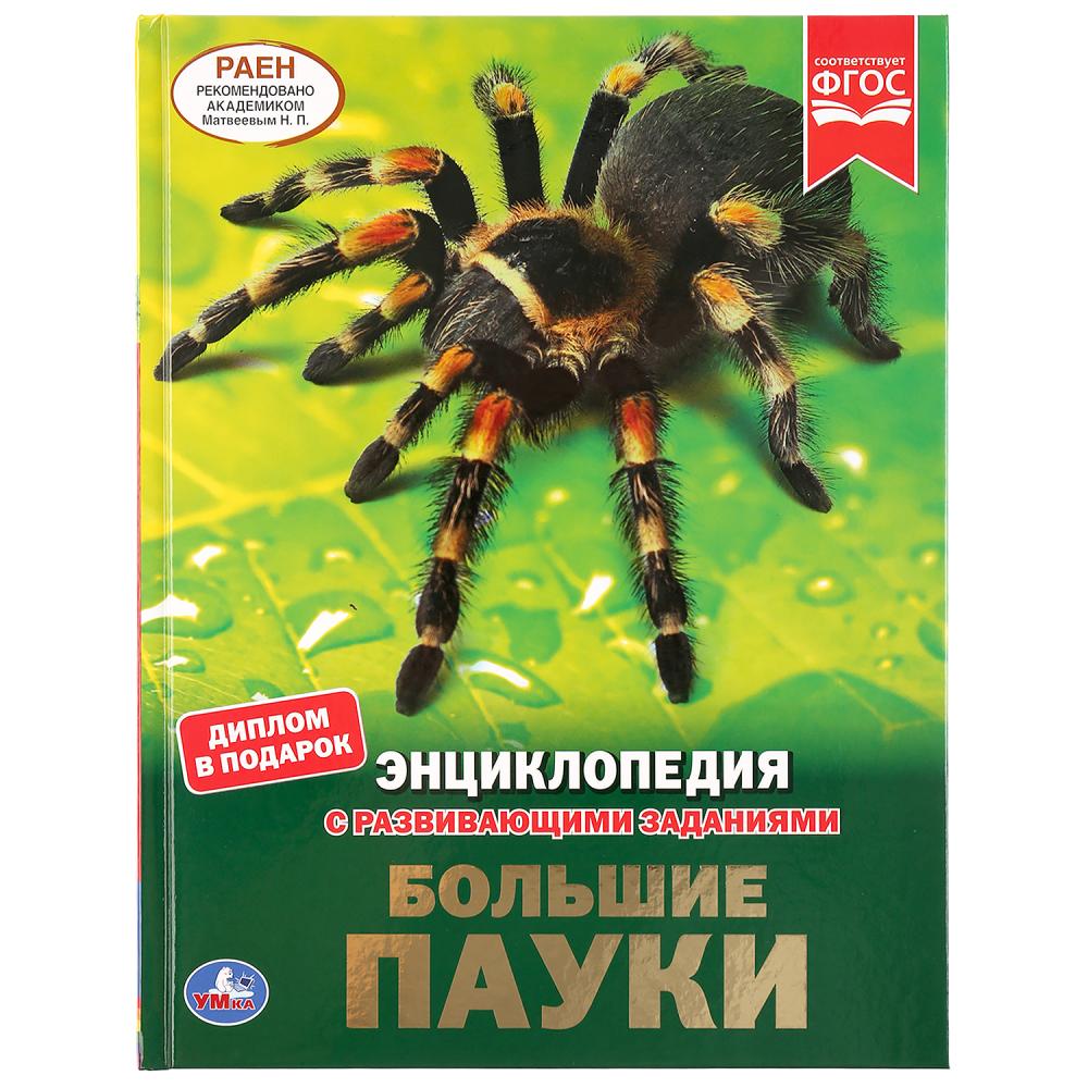 

Энциклопедия А4 с развивающими заданиями – Большие пауки