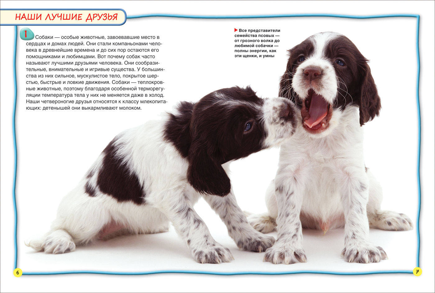 Энциклопедия для детей - Собаки и щенки, 100 фактов  