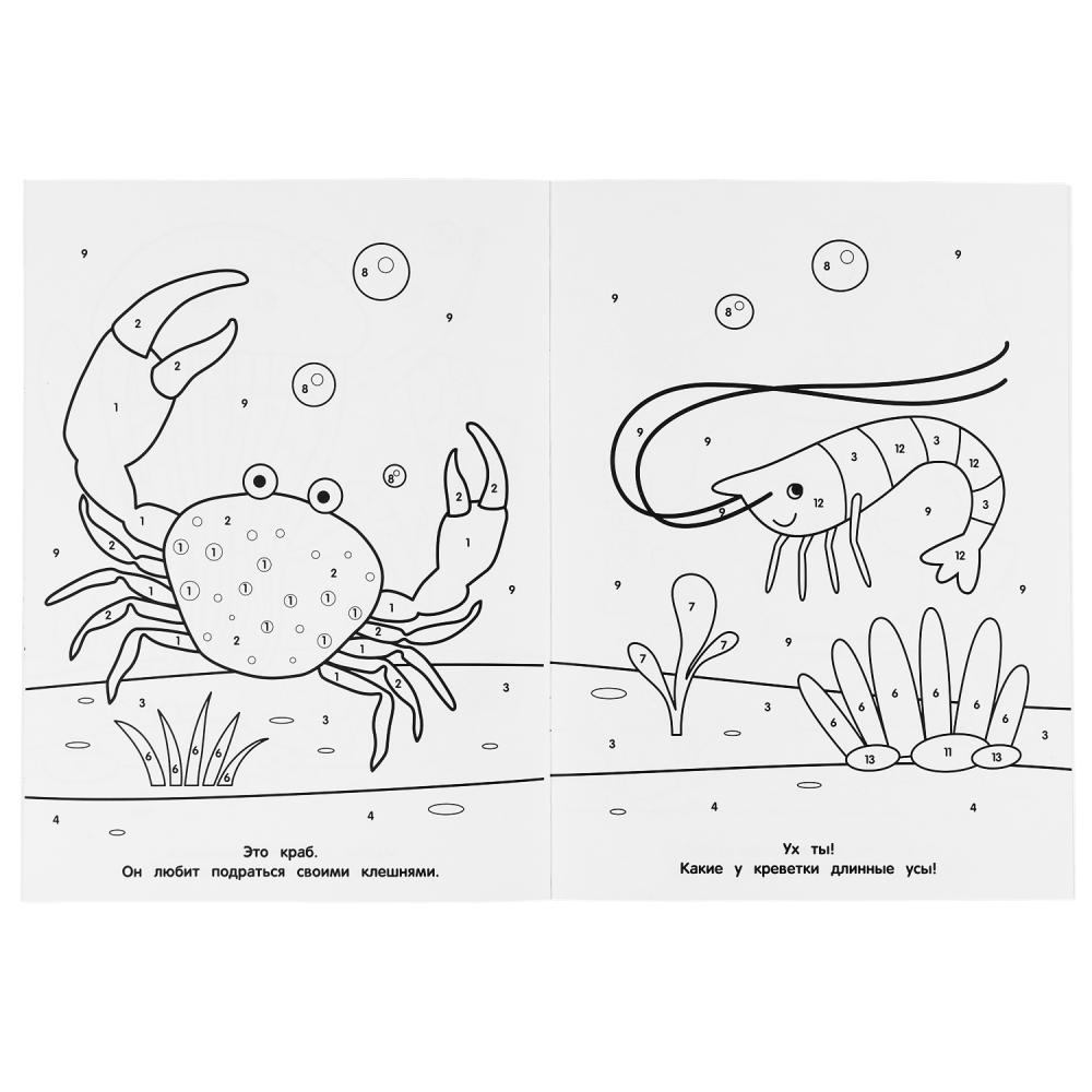 Раскраска по номерам - Акуленок  