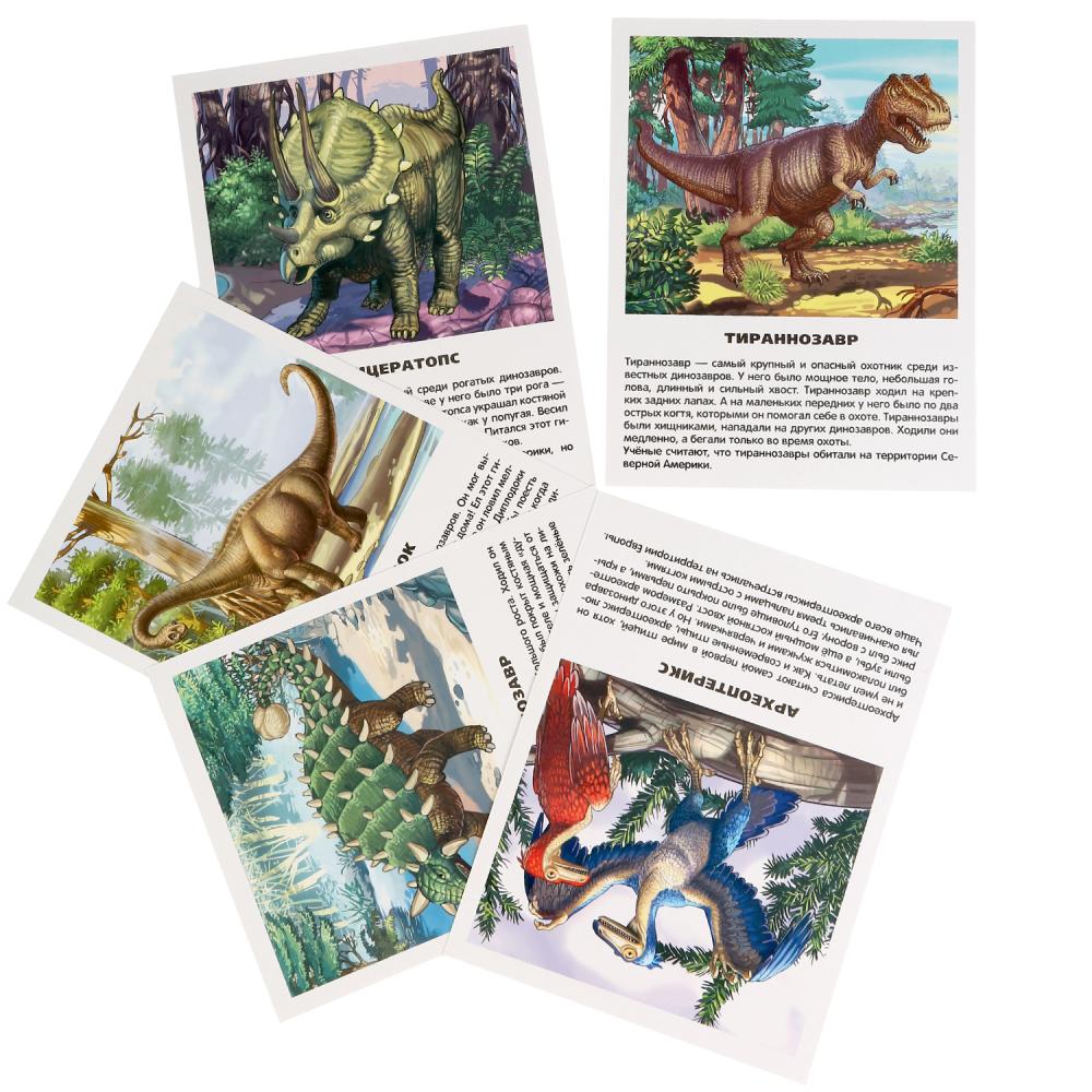 Карточки в папке – Динозавры, 16 карточек  