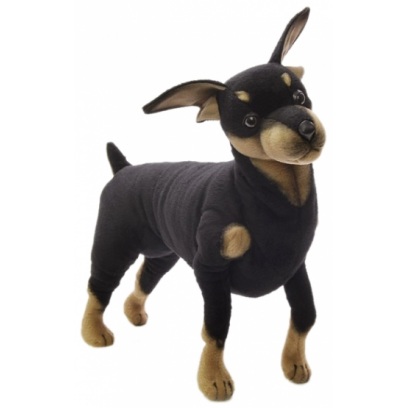Мягкая игрушка – Собака породы цвергпинчер, 43 см  