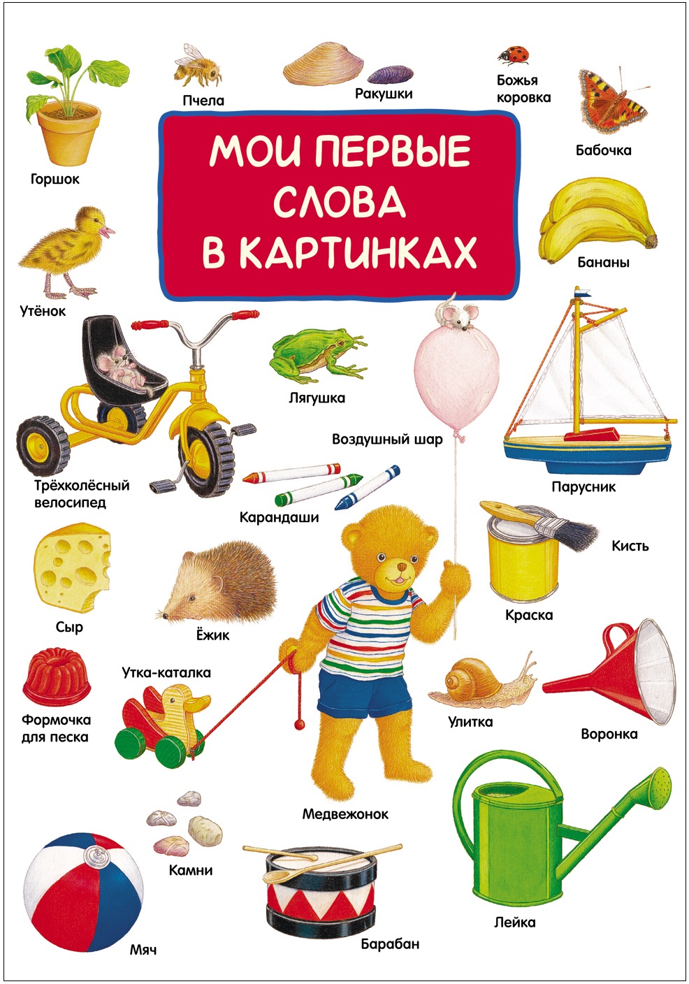 

Книга - Мои первые слова в картинках