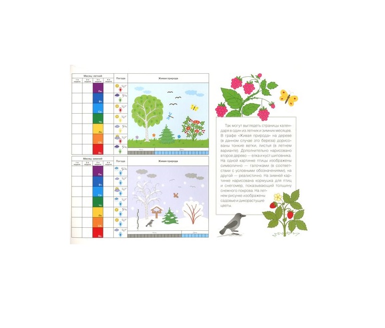 Книга из серии Юный эколог - Календарь сезонных наблюдений, 5-7 лет  