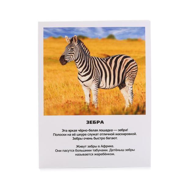 Карточки в папке – Зоопарк, 16 карточек  