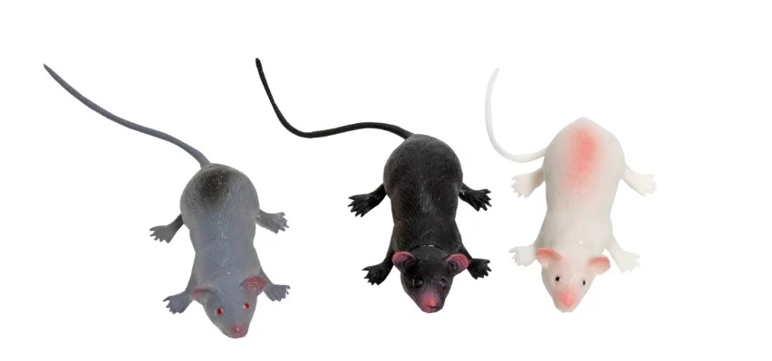 Набор из серии В мире животных: крысы, 3 шт.  